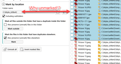 Duplicate files issue.png