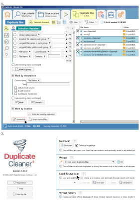 DuplicateCleaner - Left Panel - Save Scan.png